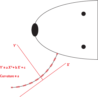 _images/mouse_curvature.png